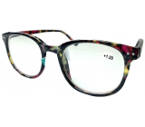 Berkeley Reading glasses +1 plastic tabby violet-brown 1 piece MC2198