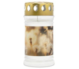 Bolsius Candle with Lid Dandelions 15.6 x 7.5 cm 72 hours 250 g
