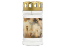 Bolsius Candle with Lid Dandelions 15.6 x 7.5 cm 72 hours 250 g