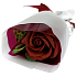 Idc Institute Soap Rose Bouquet in Paper Red 1 piece