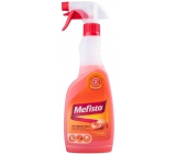 Mefisto Fireplace glass, grill cleaner, glass fireplace inserts and stove with the smell of orange spray 500 ml