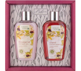 Bohemia Gifts Castanum Horse chestnut extract shower gel 250 ml + hair shampoo 250 ml, cosmetic set