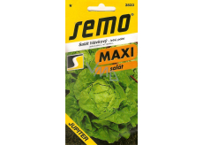 Semo Lettuce Summer, Field Jupiter 0.4 g