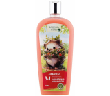 Bohemia Gifts Herbs Strawberry 3in1 shower gel, shampoo and bath foam for children 500 ml