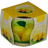 Essences of Life Lemon aromatic candle in glass 100 g