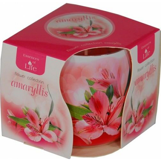 Essences of Life Amaryllis aromatic candle in glass 100 g