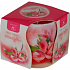 Essences of Life Amaryllis aromatic candle in glass 100 g