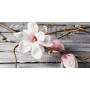 Millefiori Milano Icon Magnolia Blossom & Wood - Magnolia flowers and Wood car scent Classic pink 47 g