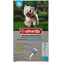 Bayer Advantix Spot On solution for dripping on the skin he for dogs 4-10 kg, 1 x 1 ml