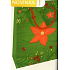 Nekupto Gift paper bag 23 x 18 x 10 cm Christmas green with poinsettia WBM 1941 50
