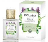 Colabo Green eau de parfum for unisex 100 ml