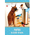 Ditipo Playing Cards Birthday Partners in every situation Filip Brabec and Karel Cernoch More than a friend 224 x 157 mm