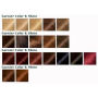 Garnier Color & Shine hair color 6.45 red copper