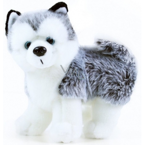 Rappa Plush dog Husky 20 x 10 x 20 cm