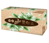 Linteo EKO paper tissues 2 layers 100 pieces box