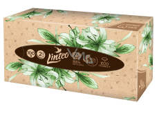 Linteo EKO paper tissues 2 layers 100 pieces box