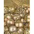 Nekupto Gift paper bag 23 x 18 x 10 cm Flasks 1 piece BM 407 01