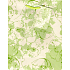 Nekupto Gift paper bag 23 x 18 x 10 cm Light green flowers 1 piece 829 50 BM