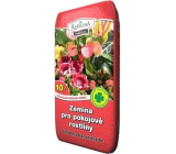 Peat Soběslav Soil for houseplants 20 l