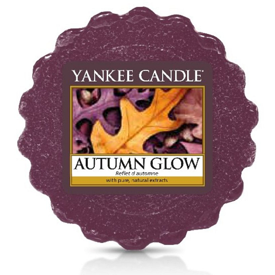 Yankee Candle Autumn Glow - glowing autumn fragrant wax for aroma lamps 22 g