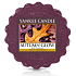Yankee Candle Autumn Glow - glowing autumn fragrant wax for aroma lamps 22 g