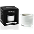 Millefiori Milano Natural White Mint & Tonka - White mint and Tonka beans Scented candle burns for up to 60 hours 180 g
