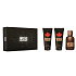 Dsquared2 Wood pour Homme Eau de Toilette for Men 100 ml + After Shave Balm 100 ml + Shower Gel 100 ml, Gift Set
