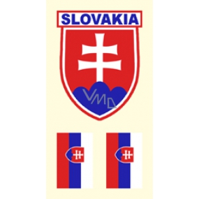 Arch Tattoo decals for face and body Slovakia flag 2 motif