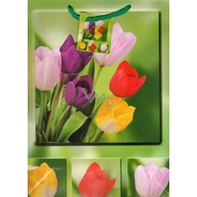 Nekupto Gift paper bag 23 x 18 x 10 cm Tulips 1048 50 BL