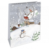 Nekupto Gift paper bag 14 x 11 x 6.5 cm Christmas winter landscape snowman WBS 1914 02