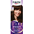 Palette Intensive Color Creme hair dye 4-60 Shiny Medium Brown 50 ml