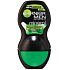 Garnier Men Mineral Sensitive roll-on ball deodorant for men 50 ml