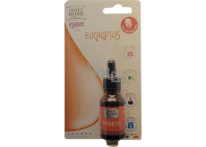 Sweet Home Eucalyptus - Eucalyptus fragrance essence 15 ml