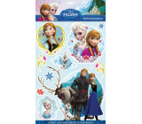Disney Frozen 3D Wall Stickers 40 x 29 cm