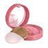 Bourjois Le Duo Blush blush 01 Inséparoses 2.4 g