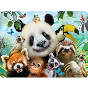 Prime3D postcard - Zoo Selfie 16 x 12 cm