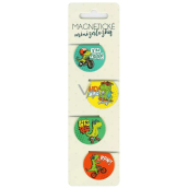 Albi Magnetic Mini Dinosaurs, diameter 3 cm 4 pieces