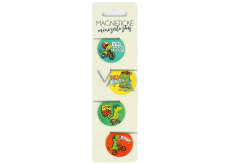 Albi Magnetic Mini Dinosaurs, diameter 3 cm 4 pieces