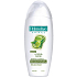 Palmolive Naturals Olive Milk shampoo for long and shiny hair 200 ml