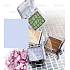 Miss Sports Fabulous Mono Eyeshadow 115 2.5 g