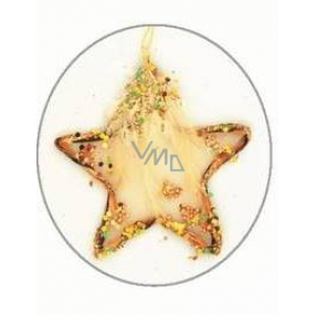 Star with feather and sequins gold for hanging 11 cm