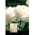 Nekupto Wishes Condolences We remember with love 56 2877