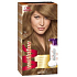 Wella Wellaton Foam Hair Color 7/1 Medium Ash Blonde