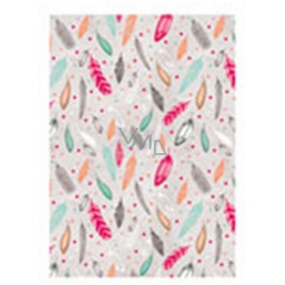 Ditipo Gift wrapping paper 70 x 200 cm Light gray with feathers