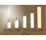 Lima Gastro smooth candle ivory cylinder 50 x 300 mm 1 piece