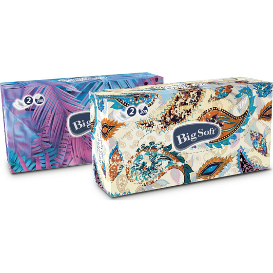Big Soft Deluxe paper handkerchiefs white 2 ply in a box of 200 pieces