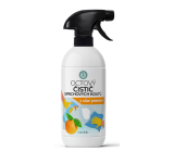 Nanolab Orange Strong Natural Vinegar Shower Cleaner 500 ml