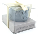 Albi Piglet for Joy Treasure Box Little Piglet for Big Dreams 6 x 7,5 cm