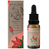 Regina Rosehip Nourishing Regenerating Oil for skin, skin and hair 20 ml