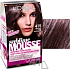 Loreal Paris Sublime Mousse hair color 415 fine ice chestnut